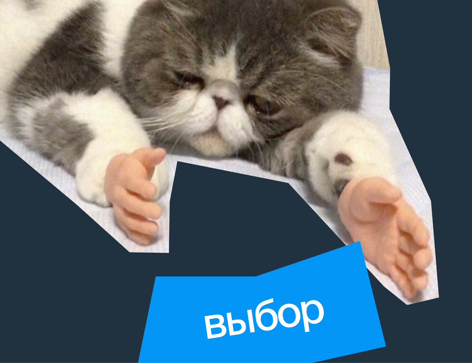 Как сделать сложный выбор и принять решение 